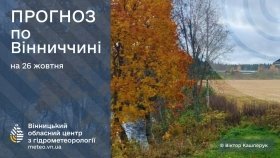 Кінець жовтня на Вінниччині: невеликі дощі та помірне тепло