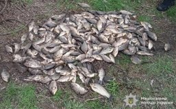 На Вінниччині виявили 27 випадків незаконного вилову риби під час нересту