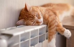 У Вінниці стартує опалювальний сезон для житлових будинків