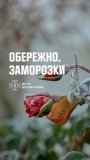 На Вінниччині 14–15 жовтня очікуються заморозки