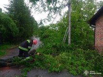 У Вінниці рятувальники двічі прибирали повалені дерева після сильного вітру