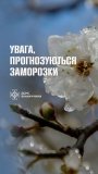На Вінниччині оголошено помаранчевий рівень небезпеки через сильні заморозки