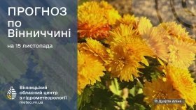 Погода на вихідні у Вінниці та області: хмарно, подекуди туман і невеликий дощ