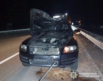 Поліцейські встановлюють обставини смертельної ДТП на Звягельщині