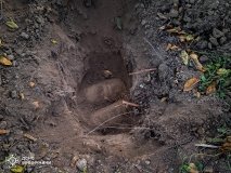 На Вінниччині з приватної ділянки вилучили снаряди часів Другої світової