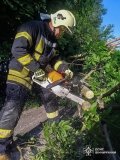 Рятувальники п’ять разів виїжджали на ліквідацію наслідків негоди на Вінниччині