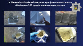 У Вінниці затримали трьох осіб із майже кілограмом наркотичних речовин