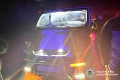 Смертельна ДТП біля Калинівки: вантажівка наїхала на пішохода