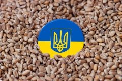 Боротьбa з продовольчою кризою: ООН зaкликaє розблокувaти укрaїнські порти 