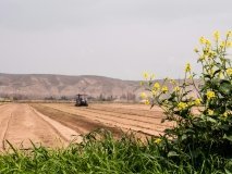 На Вінниччину йдуть перші нічні морози: якою буде погода на початку листопада