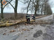 Негодa нa Вінниччині: рятувaльникaм довелось прибирaти поломaні деревa з дороги (ФОТО)