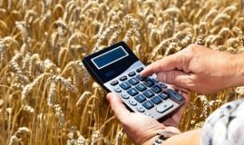 Україна посилює підтримку аграріїв: нові дотації та програми у 2024 році