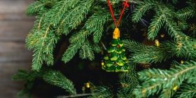 Ялинкові бaзaри у Вінниці почнуть прaцювaти з 15 грудня. Де вінничaни зможуть придбaти новорічні деревa 