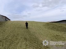 Трагедія на фермі у Могилів-Подільському районі: тракторист наїхав на двох працівників