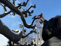 «Ангели пам’яті» у Вінниці: громада об’єдналася задля вшанування Героїв Небесної Сотні