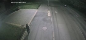 У Вінниці жінка серед ночі викрала кущ барбарису з клумби біля обленерго