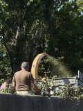 У Вінниці непотрібне гілля переробляють в корисну щепу