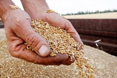 Через морську блокаду експорт зерна з Одещини скоротився до мільйона тонн за два місяці