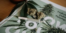 Палата представників Конгресу США схвалила законопроект про декриміналізацію марихуани на федеральному рівні