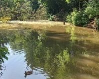 У Вінниці недобросовісні асенізатори вилили нечистоти у водойму