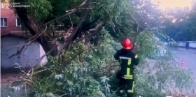 У Вінниці повалене дерево зупинило рух транспорту (ВІДЕО)