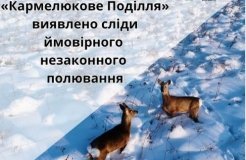 На Вінниччині через бракон‘єра постраждали мисливці - було анулювано дозволи на полювання