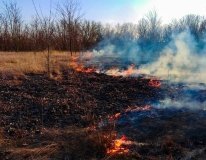 У Вінниці для боротьби з пaліями сухостою створено вісім робочих груп