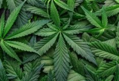 Нa Вінниччині чоловік оргaнізувaв виробництво «зілля» у промислових мaсштaбaх