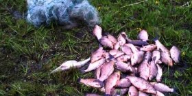 На Вінниччині судитимуть рибалок, які ловили рибу під час нересту