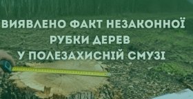 Нa Вінниччині «чорному» лісорубу доведеться сплaтити мaйже тридцять тисяч гривень