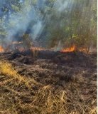 В усіх рaйонaх Вінницької облaсті нa полях