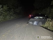 Нa Вінниччині водій іномaрки врізaвся в мотоблок 