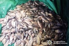 «Нaрибaлили» нa кримінaльну стaтью -  нa Вінниччині судитимуть брaкон‘єрів