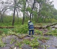 У Вінниці дерево впало у дворі багатоповерхівки - допомогли рятувальники
