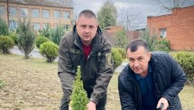 Дашівська громада Вінницької області відзначена за збереження лісів