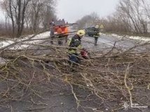 ДСНС Вінниччини ліквідувала наслідки негоди 22 листопада