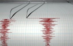 В одному з українських регіонів зафіксували землетрус. Що відомо?