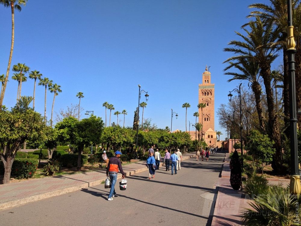 Марокканцы, как и все жители пустынь, любят и ценят деревья 