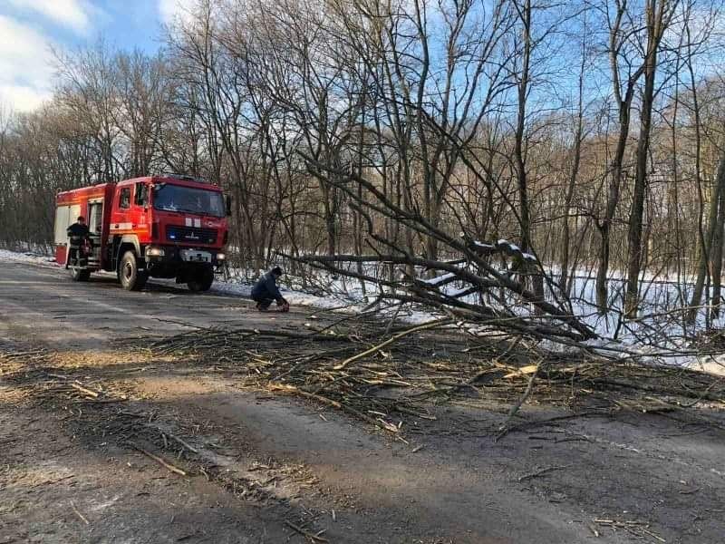 На Вінниччині негода «наламала дров»: з наслідками боролися рятувальники (ФОТО)